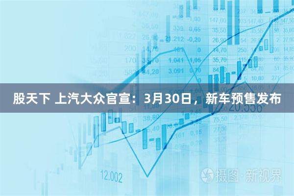 股天下 上汽大众官宣:3月30日,新车预售发布