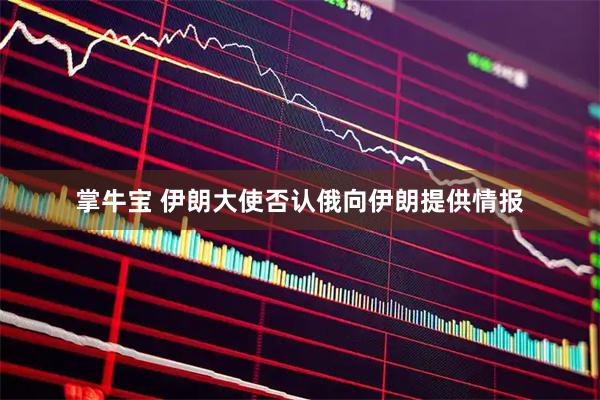 掌牛宝 伊朗大使否认俄向伊朗提供情报