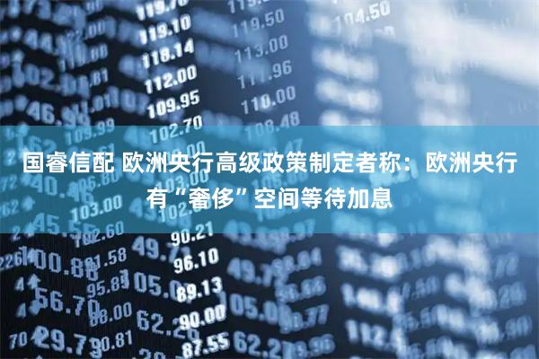 国睿信配 欧洲央行高级政策制定者称：欧洲央行有“奢侈”空间等待加息