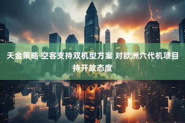 天金策略 空客支持双机型方案 对欧洲六代机项目持开放态度
