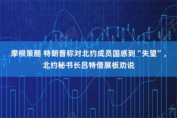 摩根策酪 特朗普称对北约成员国感到“失望”，北约秘书长吕特借展板劝说
