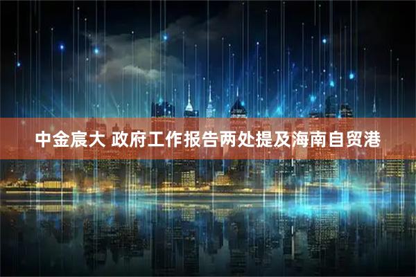 中金宸大 政府工作报告两处提及海南自贸港