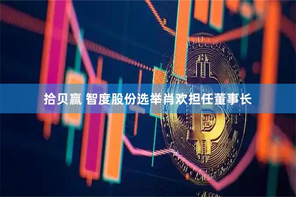 拾贝赢 智度股份选举肖欢担任董事长
