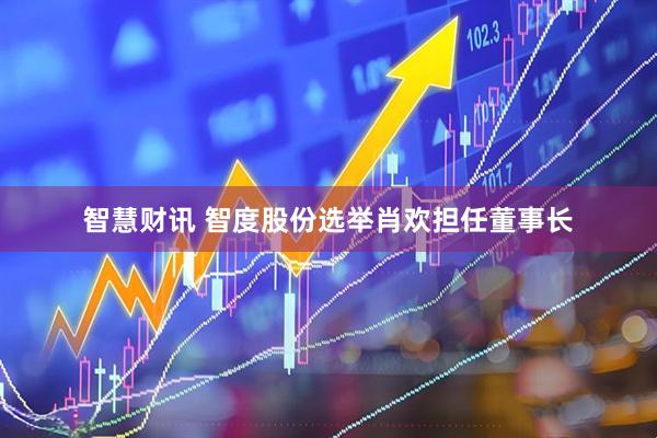 智慧财讯 智度股份选举肖欢担任董事长