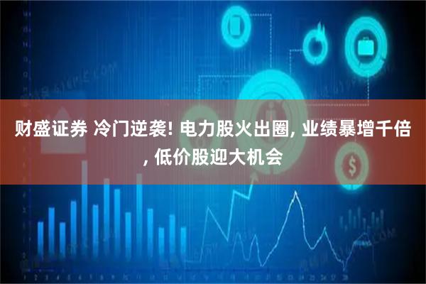 财盛证券 冷门逆袭! 电力股火出圈, 业绩暴增千倍, 低价股迎大机会