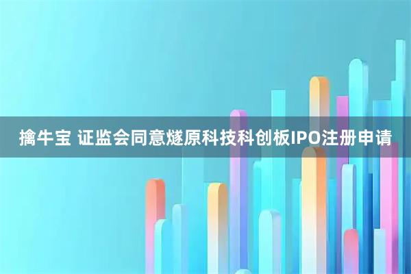 擒牛宝 证监会同意燧原科技科创板IPO注册申请