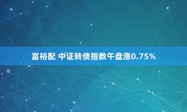富裕配 中证转债指数午盘涨0.75%