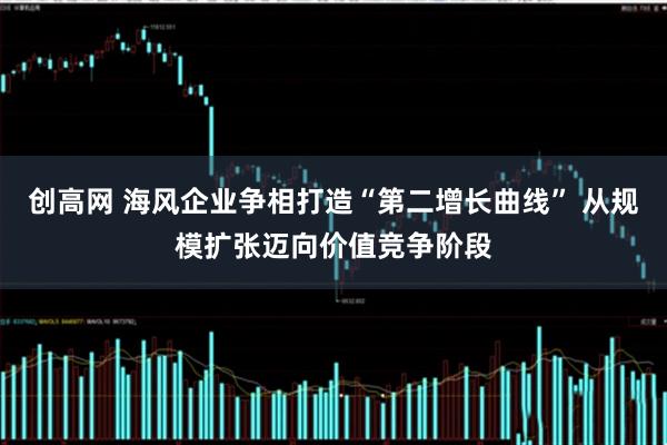创高网 海风企业争相打造“第二增长曲线” 从规模扩张迈向价值竞争阶段